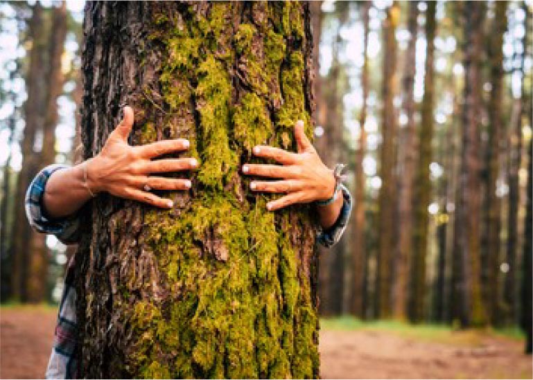 Forestry Protection matters